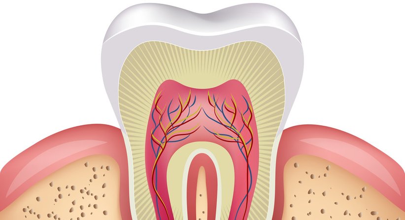  Wurzelbehandlung - Dr. med. dent. Thomas Huber - Zahnarzt Wien 1100