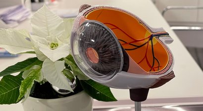 Operation des Grauen Stars (Kataraktoperation)