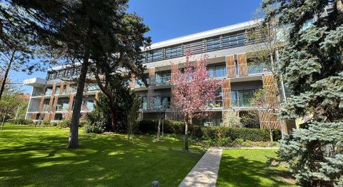 Univ.-Prof.Dr.  René H. Fortelny, FEBS-AWS - Allgemeinchirurg Wien 1190