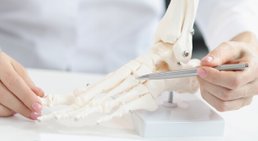 Priv. Doz. Dr. Stephan Puchner, MSc. - Orthopäde Wien 1090