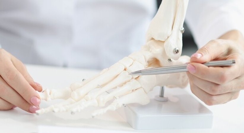 Fußchirurgie - Priv. Doz. Dr. Stephan Puchner, MSc. - Orthopäde Wien 1090