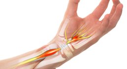 Priv.-Doz. Mag. Dr. Thomas Hoffelner, MSc - Orthopäde Wien 1010