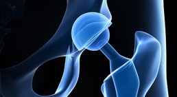 Priv.-Doz. Mag. Dr. Thomas Hoffelner, MSc - Orthopäde Wien 1010