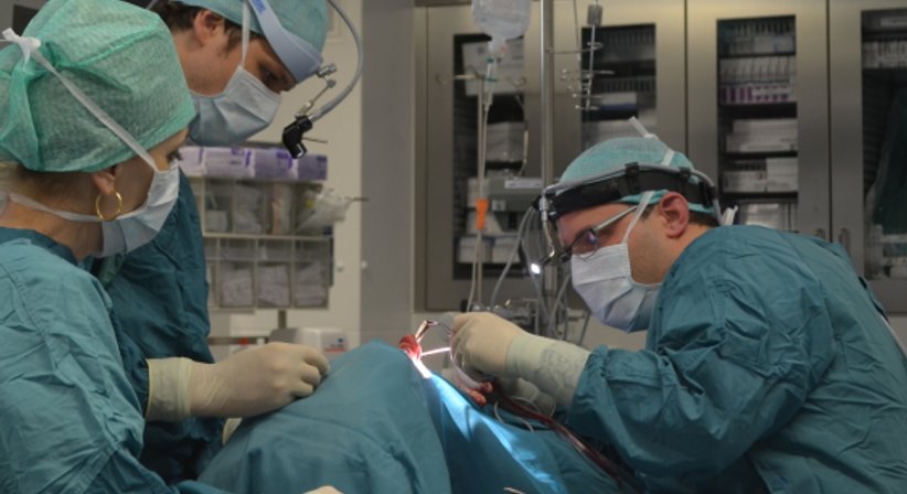 funktionelle und ästhetische Nasenchirurgie - OA Dr. Matthias Grabner - HNO-Arzt Klosterneuburg 3400