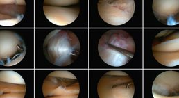 OA Dr. Peter Radakovits - Orthopäde Baden 2500