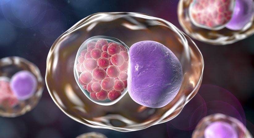 Geschlechtskrankheiten - Diagnose und Therapie - Dr. med. univ. Vyara Yordanova - Frauenärztin Wien 1070