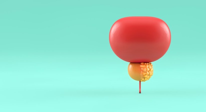 Prostatakrebs - Dr. Rodrigo Suarez Ibarolla - Urologe Wien 1030