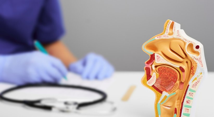 Postoperative HNO Nachsorge - Dr. Peter Karl Hallmann - HNO-Arzt Wien 1220