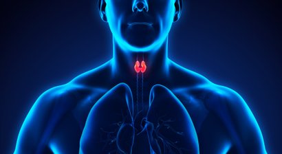 Ultraschall der Schilddrüse (Schilddrüsensonografie)