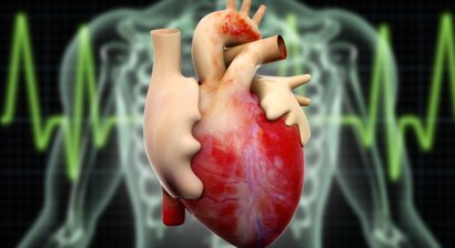 Langzeit-EKG (24h EKG)