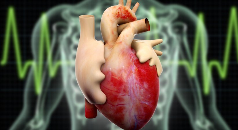 Langzeit-EKG (24h EKG) - Dr. Tania Fuchs, MSc. - Internistin Klosterneuburg 3400
