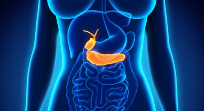 Bauchultraschall (Abdomensonografie)