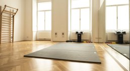 Praxis - Univ.-Lector Dr. Wolfgang Gruther, MSc - Physikalischer Mediziner Wien 1010