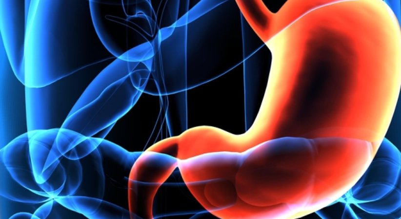 Endoskopie - Dr. Marcus Franz, MSc - Internist Wien 1130