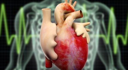 Herzultraschall (Echokardiografie)