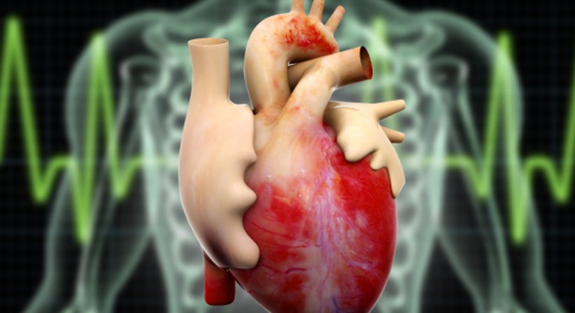 Herzultraschall (Echokardiografie) - Dr. Marcus Franz, MSc - Internist Wien 1130