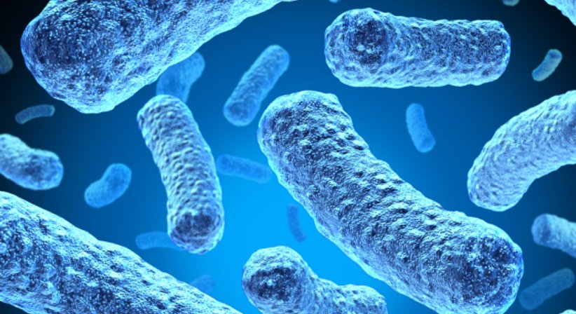 Dauerkatheterwechsel / Bauchkatheterwechsel  - Priv.Doz. Dr. Jörg Schmidbauer, F.E.B.U. - Urologe Wien 1130