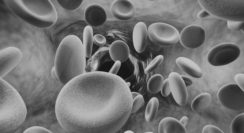 autologe Stammzelltherapie - Dr. Sabine Streubel - Unfallchirurgin Ladendorf 2126