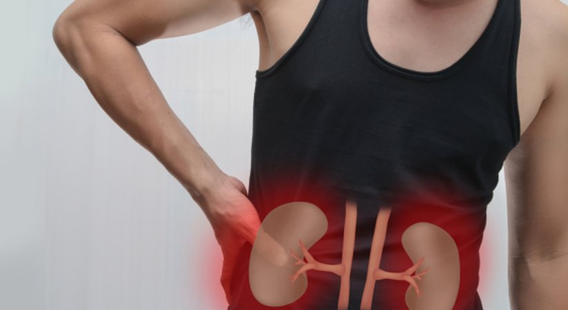 Nierenerkrankungen - Prof. Dr. Gürkan Sengölge - Internist Gablitz 3003