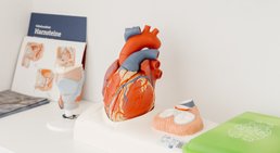 Praxis - Dr. Maximilian Hinzpeter - Praktischer Arzt Wien 1050