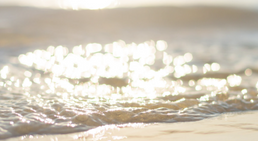 Dr. med. Michaela Cornehl - Praktische Ärztin Wien 1010