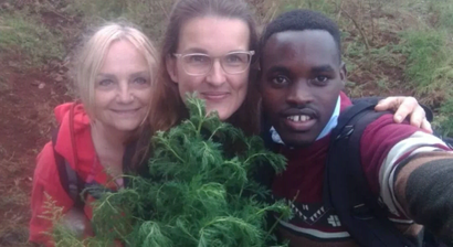 Phytotherapie: die Heilpflanzen