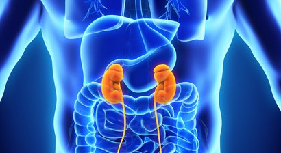 Abklärung bei Erkrankungen der Niere