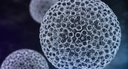 HPV -
