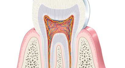 Allgemeine Zahnmedizin