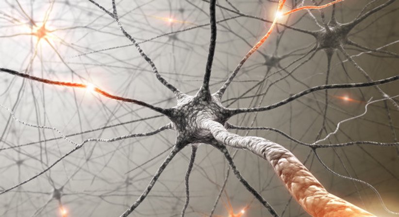 Nervenschmerzen - Priv. Doz. Dr. Christopher Gonano, MMMSc, MBA, MLS - Anästhesist Wien 1090