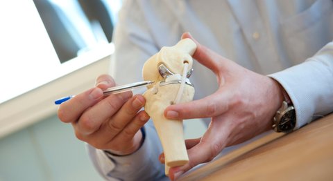 Dr. Markus Baumgartner - Orthopäde Wiener Neustadt 2700