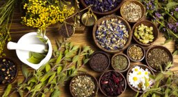 MR Dr. Friedrich Hitsch - Praktischer Arzt Wien 1120