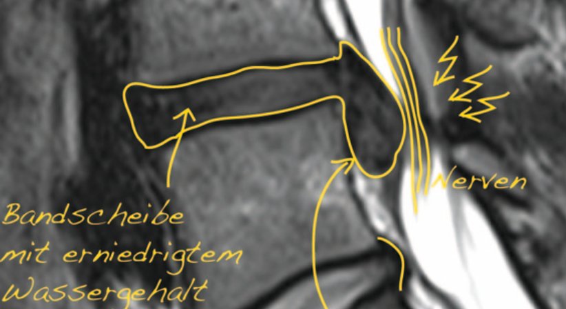 Sofortbefundung - Assoc. Prof. Priv.-Doz. Dr. Klaus M. Friedrich - Radiologe Baden 2500