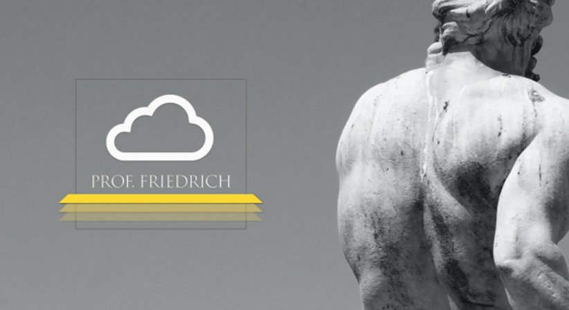 Telekonsultationen - Assoc. Prof. Priv.-Doz. Dr. Klaus M. Friedrich - Radiologe Baden 2500