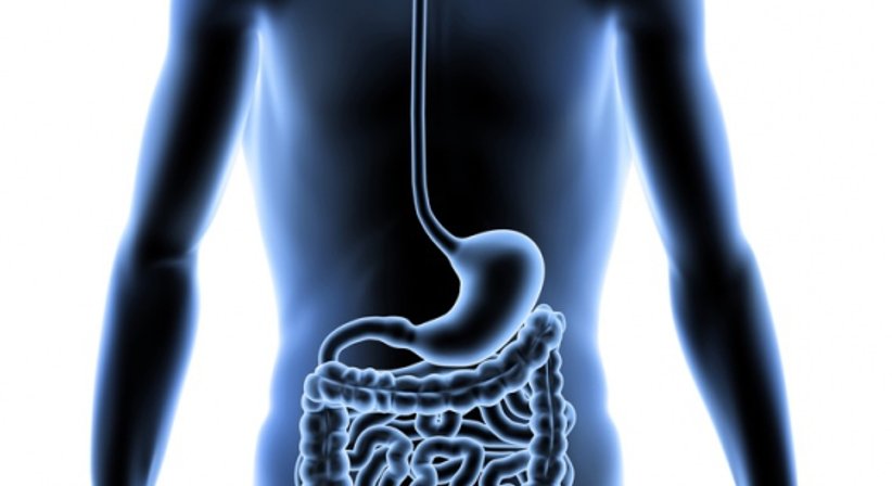 Gastroskopie - OA Dr. Gregor Ulbrich - Internist Wien 1080