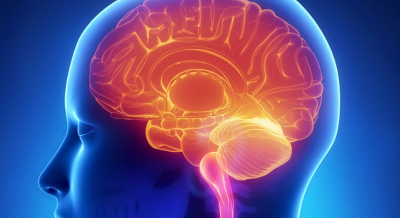 Ataxien - Dr. Barbara Pischinger - Neurologin Linz 4020