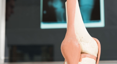 OA Dr. Lukas Karamat - Orthopäde Hollabrunn 2020