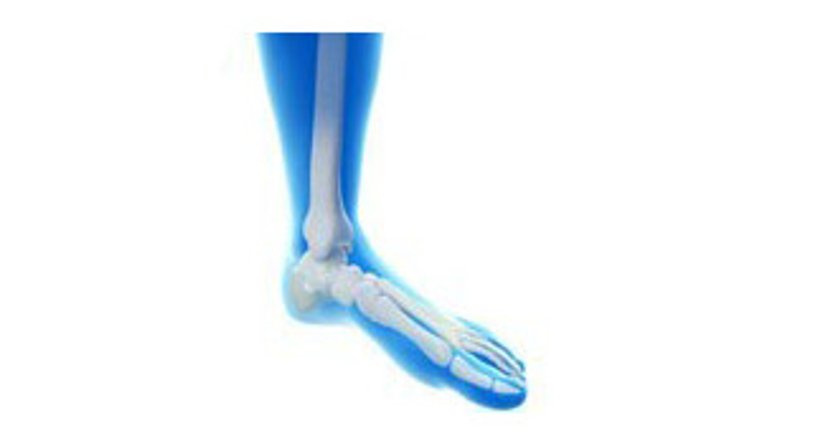 Sprunggelenk - OA Dr. Lukas Karamat - Orthopäde Hollabrunn 2020