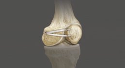 Dr. Christian Patsch - Orthopäde 4048 Puchenau