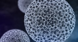 HPV -