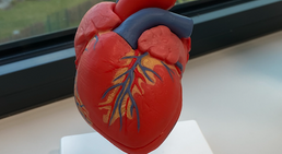 Praxis - OA Dr. med. univ. Thomas Chatsakos - Kardiologe Wien 1100