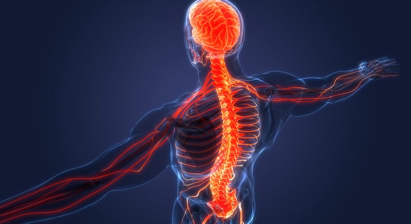Spinalkanalstenose - Dr. Milan Stanojevic - Neurochirurg Baden 2500