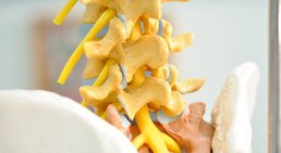 Dr. Milan Stanojevic - Neurochirurg Baden 2500