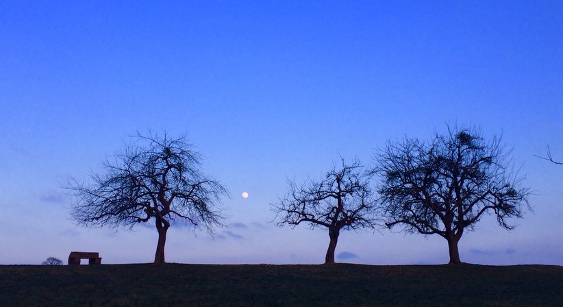 Ärztliche Konsultation mit Schwerpunkt Ayurveda - Dr. med. univ. Maria Bräuer, MSc - Praktische Ärztin Wien 1030