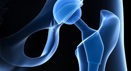 Univ.-Prof. Dr. Reinhard Windhager - Orthopäde Wien 1190