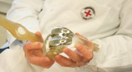 Univ.-Prof. Dr. Reinhard Windhager - Orthopäde Wien 1190