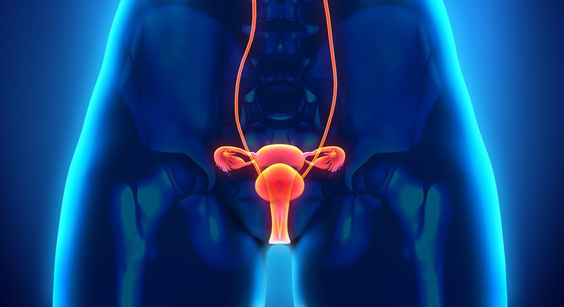 HPV (PAP-Abstrich, HPV-Impfung, Vorsorge Gebärmutterhalskrebs) - Dr. Katharina Kovalenko - Frauenärztin Wien 1030
