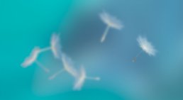 Praxisfoto von Dr. Marcel Rowhani