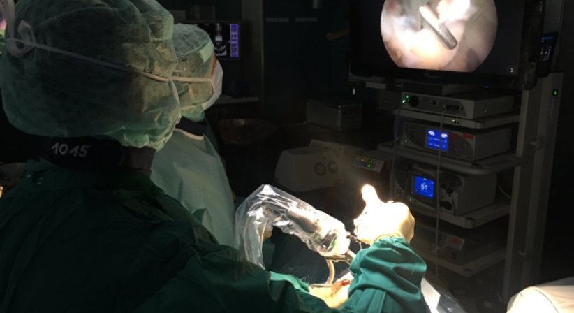 Minimalinvasive endoskopische Bandscheibenchirurgie - OA Dr. med. Nazem Atassi - Neurochirurg Wien 1190