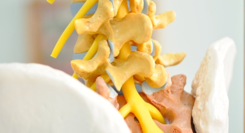 Konservative Therapie - OA Dr. Nikolaus Ulreich - Orthopäde Wien 1170